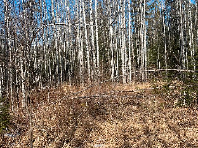 Land for sale in Thunder Bay, Ontario