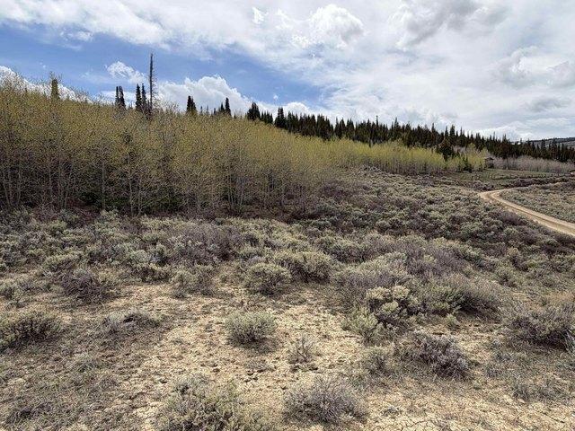 Land for sale in Wyoming
