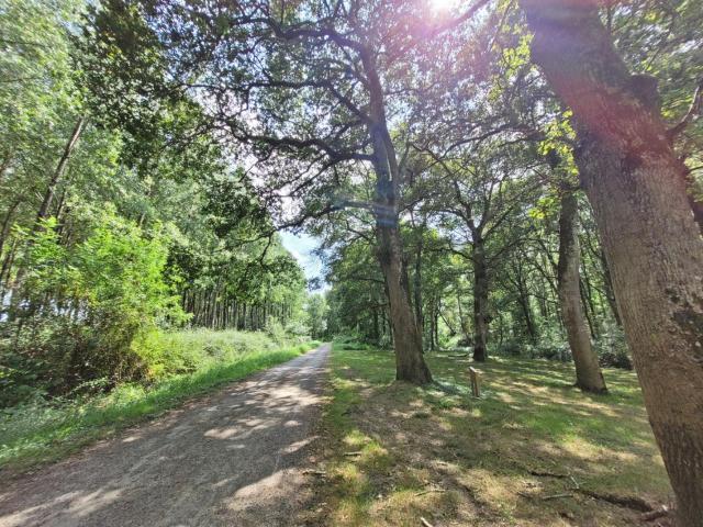 Maison vente à Mont-de-Marsan, Commensacq
