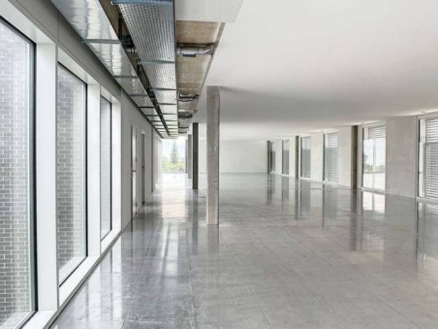 Büro mieten in Gland, Waadt