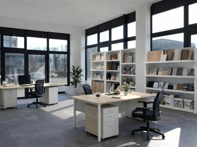 Atelier mieten in Roche (VD), Waadt