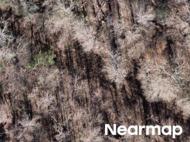Land for sale in Gladewater, Texas