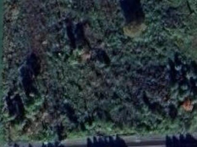Land for sale in Waverly, Waverly Township