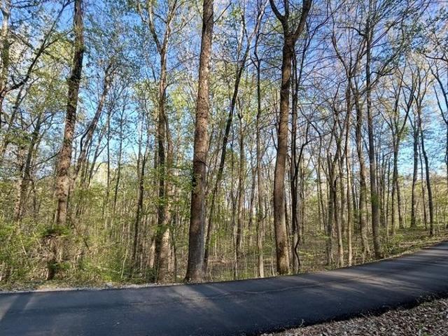 Land for sale in Eddyville, Kentucky