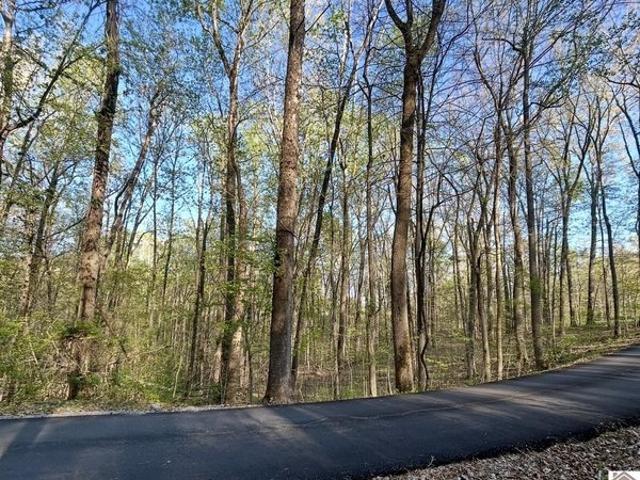 Land for sale in Eddyville, Kentucky