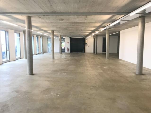 Atelier mieten in Mont-sur-Lausanne, Waadt