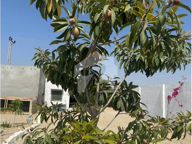 Property for sale in Gwadar, Balochistan