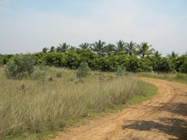 Commercial for rent in Medavakkam - Chennai, Tamil Nadu