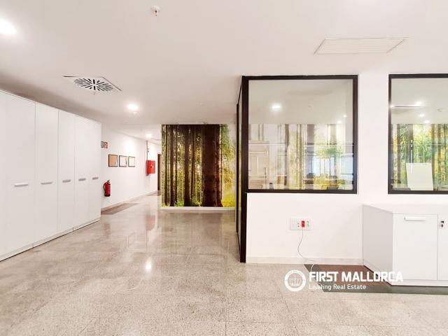 Casa en alquiler en Pla de Mallorca, Baleares