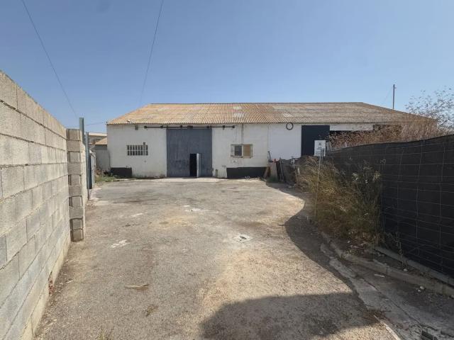 Casa en alquiler en San Pedro del Pinatar, Campo de Cartagena y Mar Menor