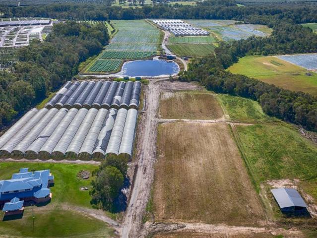 Property for rent in Toombul, Queensland
