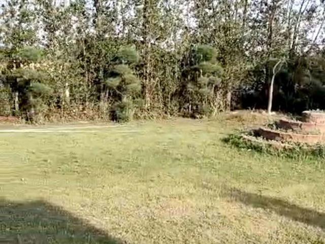 Commercial for sale in Mohari, Punjab