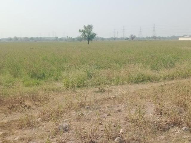 Commercial for sale in Tilakwada, Gujarat