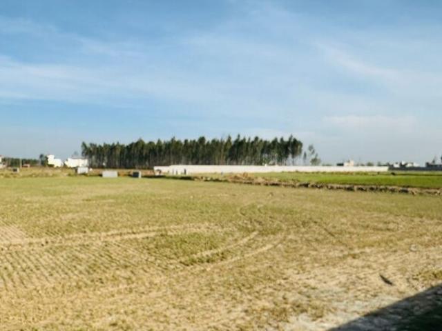 Commercial for sale in Bahlolpur, Arunachal Pradesh