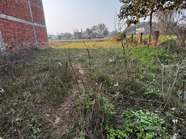 Commercial for rent in Varanasi, Arunachal Pradesh
