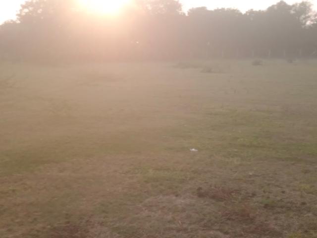Commercial for sale in Tilakwada, Gujarat