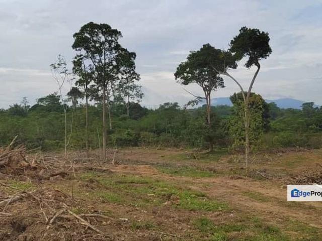 Shop for sale in Pilah, Kuala Pilah