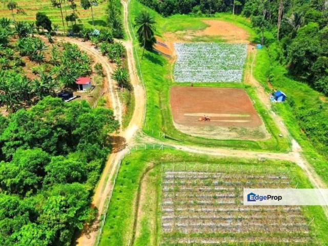 Shop for sale in Pilah, Kuala Pilah