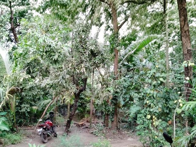 Land for sale in Thrissur, Kerala