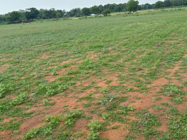 Land for sale in Guntur, Andhra Pradesh