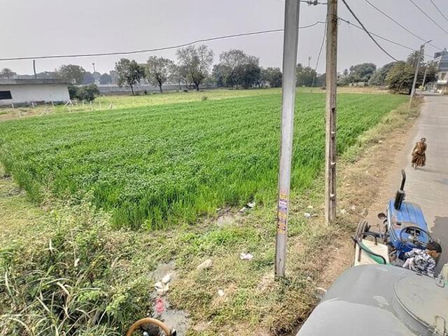 Land for rent in Madya