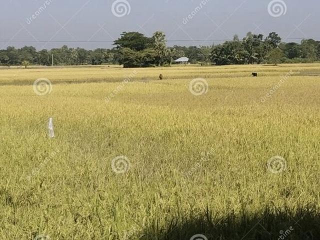 Land for rent in Surat, Gujarat