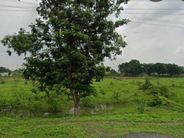 Land for rent in Bilaspur, Chhattisgarh