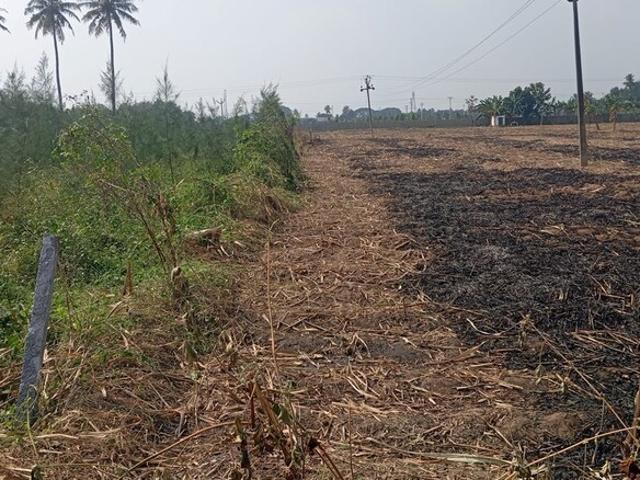 Land for rent in Tamil Nadu
