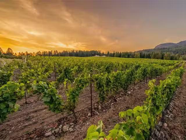House for sale in Duncan, British Columbia