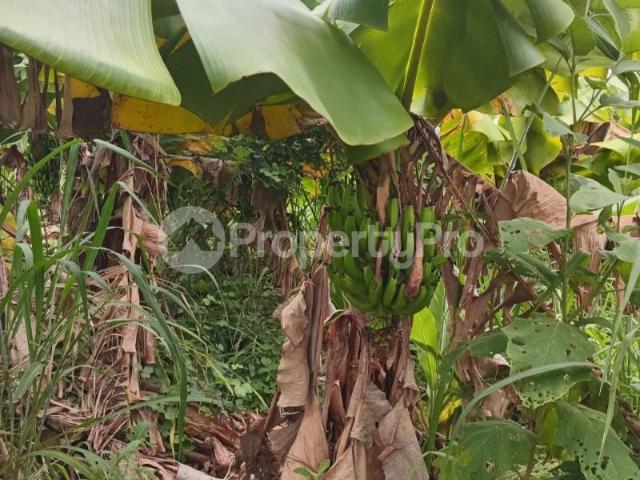 Land for sale in Taveta