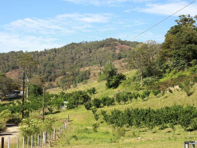 Property for sale in Bowman, New South Wales