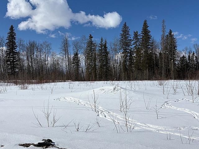 Land for sale in Athabasca, Alberta