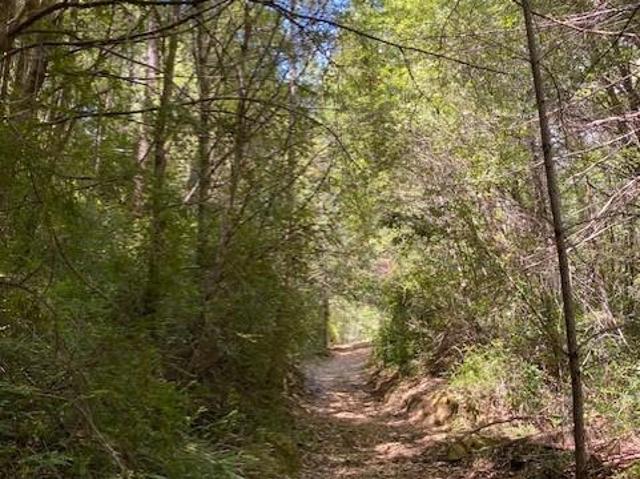 Commercial for sale in Piercy, California