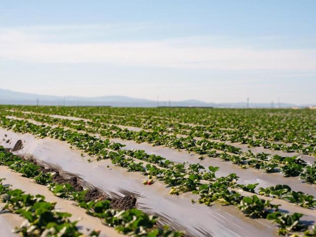 House for sale in Salinas, California