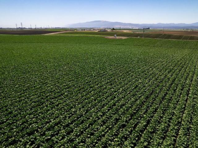 Commercial for sale in Salinas, California