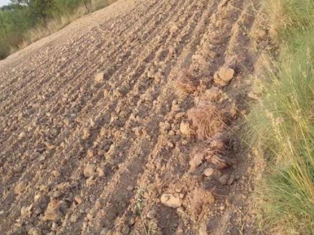 Land for sale in Attock, Islamabad Capital Territory