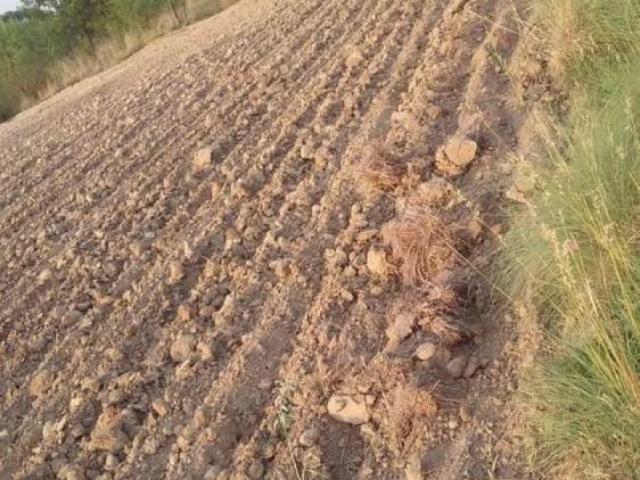 Land for sale in Attock, Islamabad Capital Territory