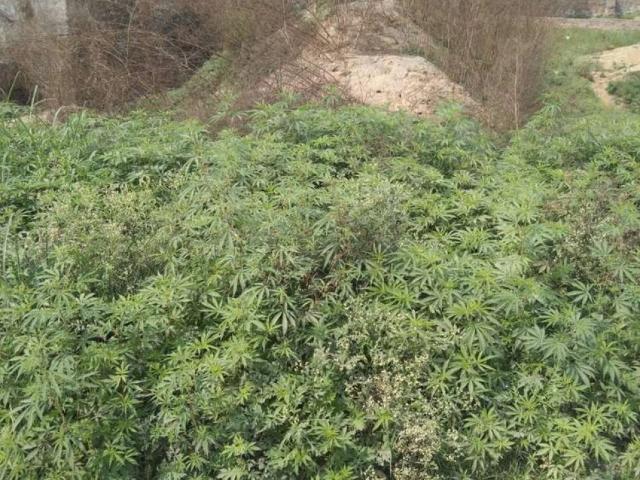 Land for sale in Rawalpindi, Islamabad Capital Territory