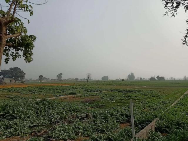 Land for sale in Gujrat, Islamabad Capital Territory