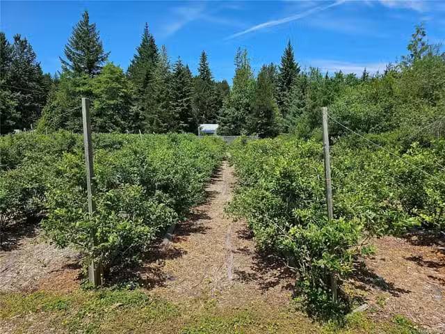 House for sale in Courtenay, Comox Valley Regional District