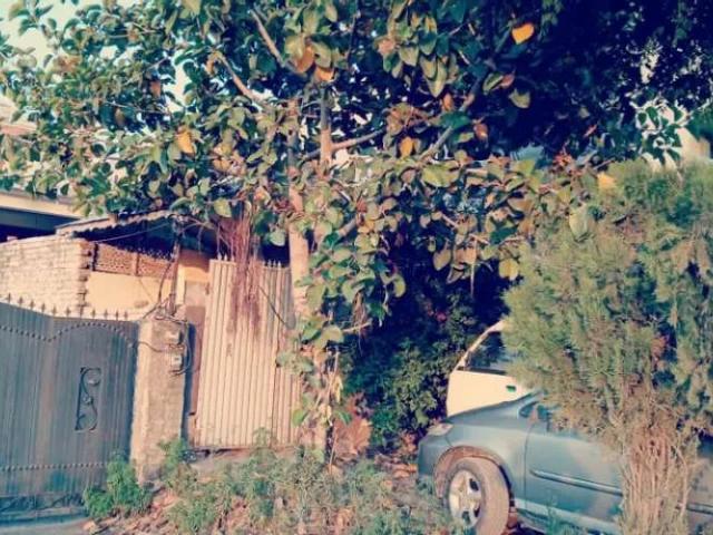Commercial for sale in Islamabad