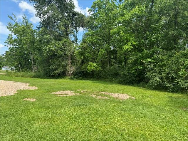 Land for sale in Roseland, Louisiana
