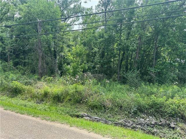 Land for sale in Roseland, Louisiana