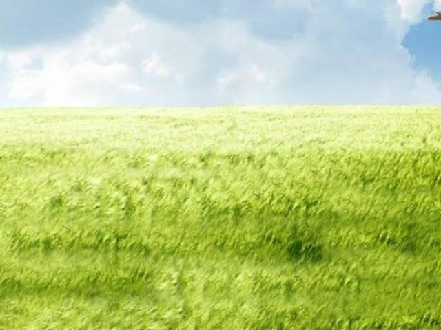 Land for sale in North Waziristan, Federally Administered Tribal Areas fata