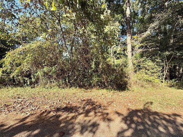 Land for sale in Sabine, Texas