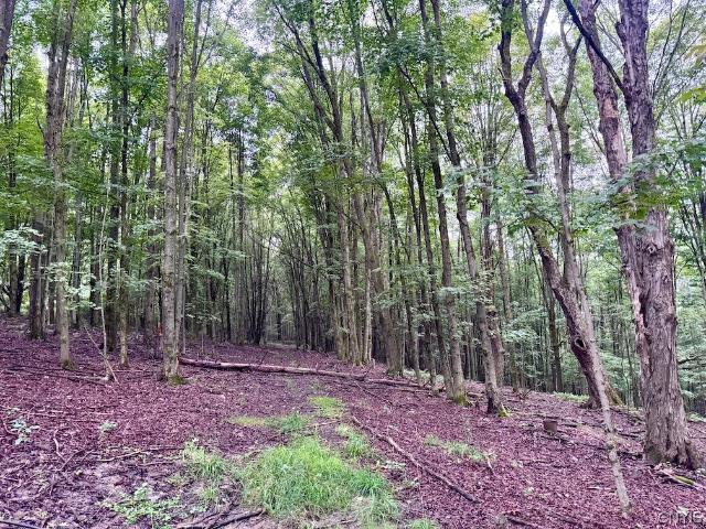 Land for sale in Village of Angelica, Town of Angelica