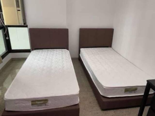 Room for rent
