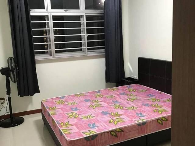 Room for rent