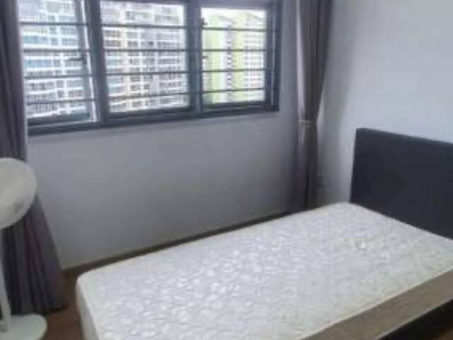 Room for rent
