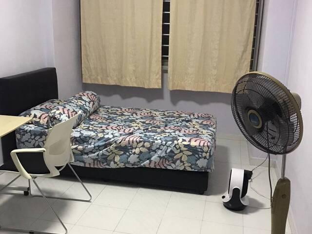 Room for rent